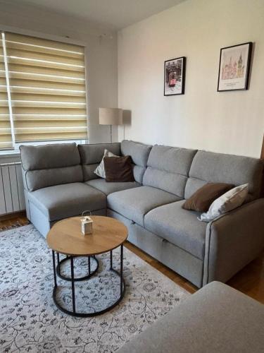 Nova Otoka Apartment - Free Parking