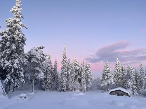 Cozy stuga in Swedish Lapland in Kangos