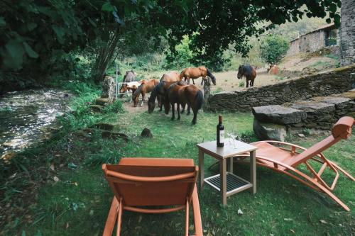 Casa Grande de Covas-Rural Boutique & Agroturismo en la Ribeira Sacra - Lugo