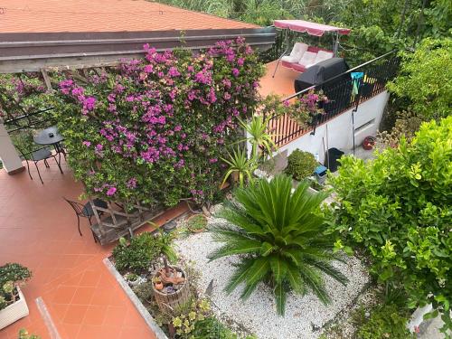 Villa Marco Aurelio 3