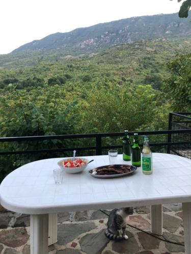 Mountain View - Villa Niko in Germenj