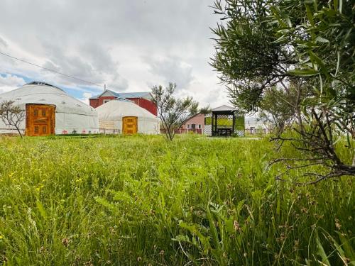 Aspan Kazakh Ger Camp in Olgii