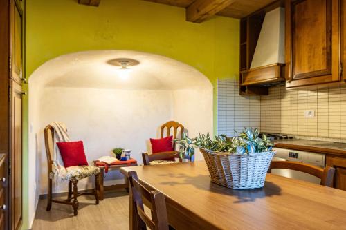 Kitchen, Ca dal Maestar, Nature, Trekking, Relax, Valstrona, By Guestaly in Valstrona