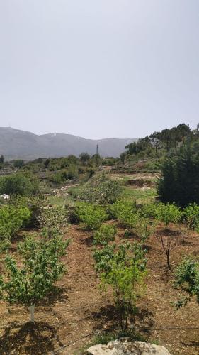 Countryside Guesthouse in Maasser Al Chouf