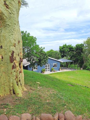 Surrounding environment, Care Cottage Coastal Nature Stay in Canelands