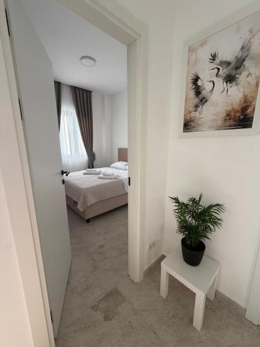 Voyka Apartments