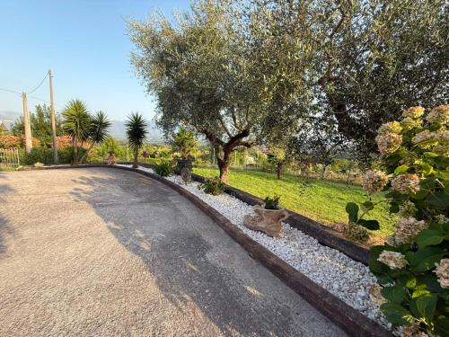 Kert, B&B Le Margherite in Castelluccio Superiore