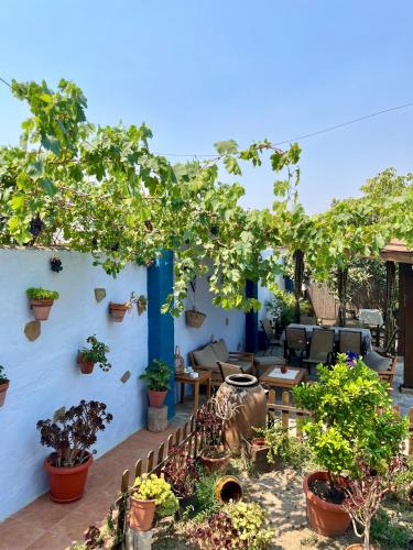 Casa Rural El Miajon Apartamentos in Zorita