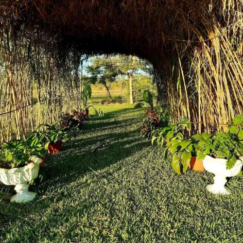 Dopiro Lodge and Gardens in มาสวิงโก