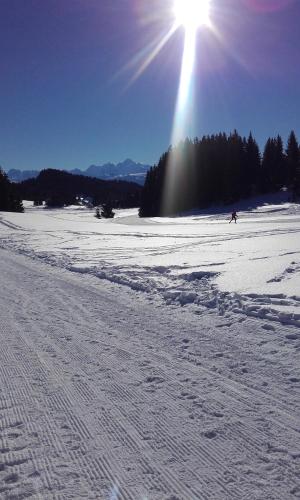 Les Terrasses du Mont blanc - image 6