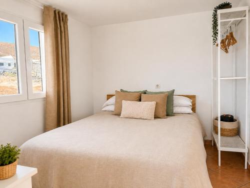 Pico Colorao Loft 2
