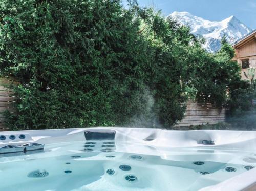 Elegant Garden Apartment in Central Chamonix