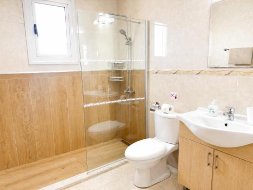 Narcissos Nissi Beach Apartment D9 - image 3