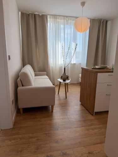 Luxurious apartment in the centre of Aš (Luxurious apartment in the centre of As) in As