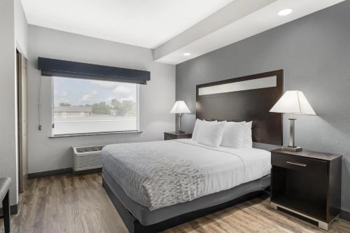 1 king bed, 1 sofa bed