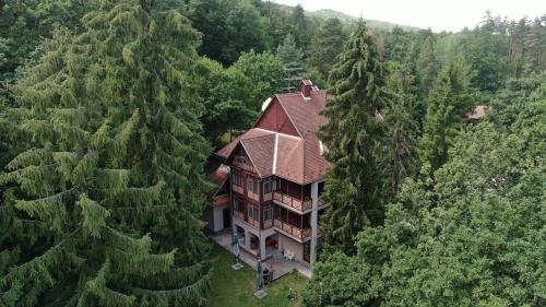 Ezustfenyo Hotel in Telkibanya