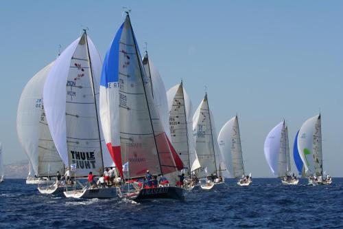 I Delfini di Cala del Faro - image 11