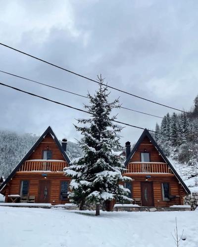 Bujtina n'kullë (Bujtina n'kulle) in โบเก