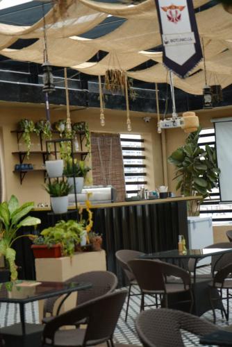 Botanical Living near Sudha Cars Museum