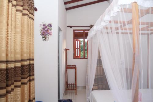Sandu Guest - image 3