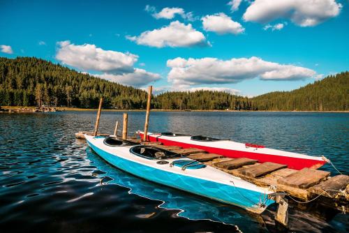Romantica Forest Holiday Village - image 10
