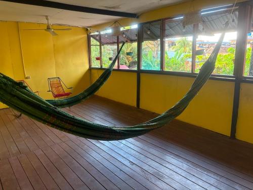 Welcome to the Amazon in Iquitos