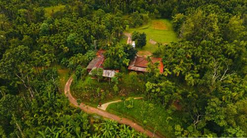 Isiri Holiday Homes