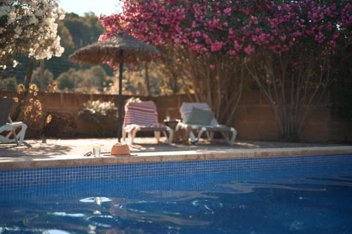 Finca Caballo Blanco 2