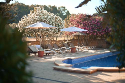 Finca Caballo Blanco 3