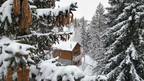 Gorska Vila