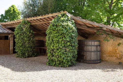 Iekārtas, Villa storica di famiglia sui colli senesi in Costalpino