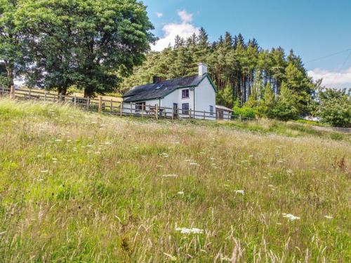 Hotelli välisilme, Penglaneinon in Llanwrthwl
