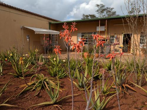Boschoek Farm