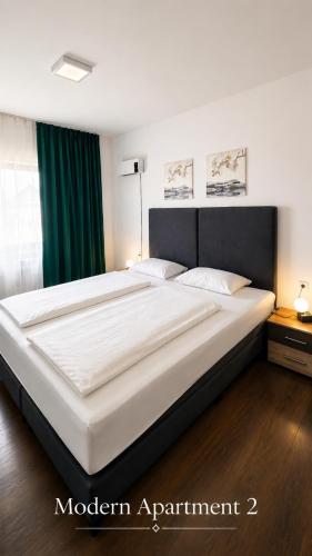 . Modern Apartment 2