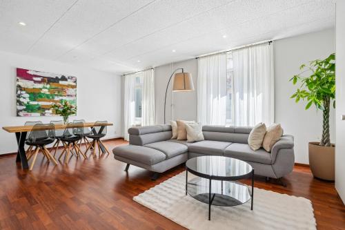 Spacious Apartment in Central Luzern