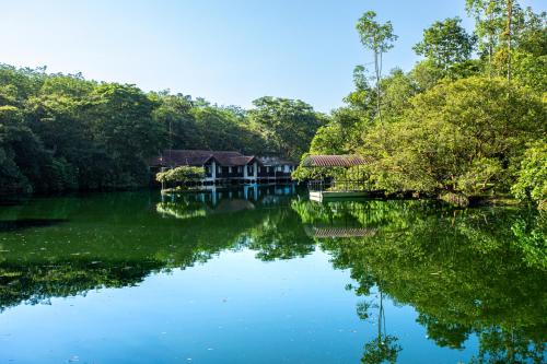 . Serenity Wellness