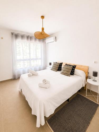 9762 Apartamento Corte