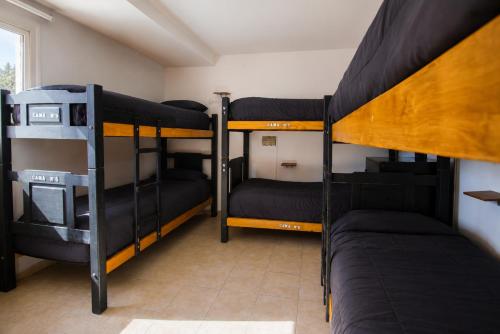 1 bunk bed