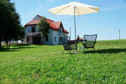 300 m Private Villa near Vilnius in Motiejiškės