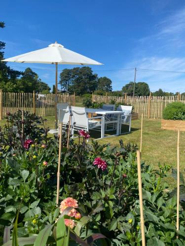 House with large garden, near the sea in Saltnes
