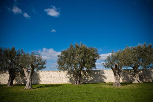 Eremo Della Giubiliana - image 8