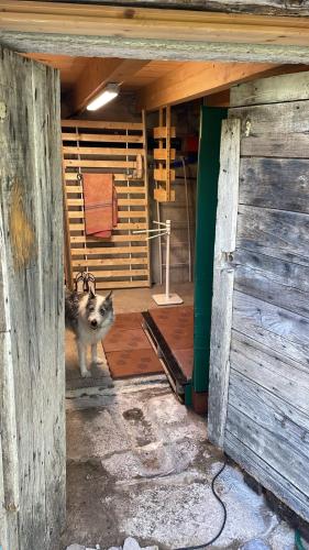 Duša, Riparo del ghiro Solo per audaci in Borghetto dʼArroscia