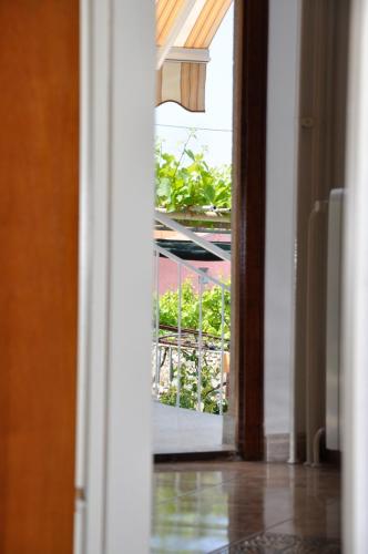 Apartment Bilić, Pola (Pula) (foto 10)