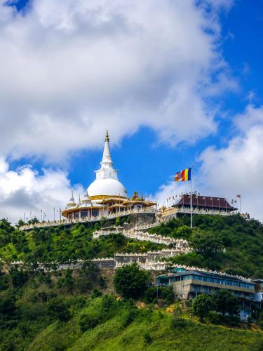 Ella Tea Mountain in 엘라