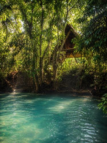 Ecocio Jungle Hostel Room Type - Double Room