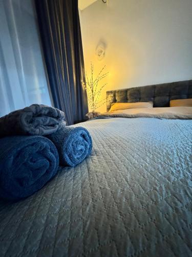 APARTMENT Ultra central in Edinets