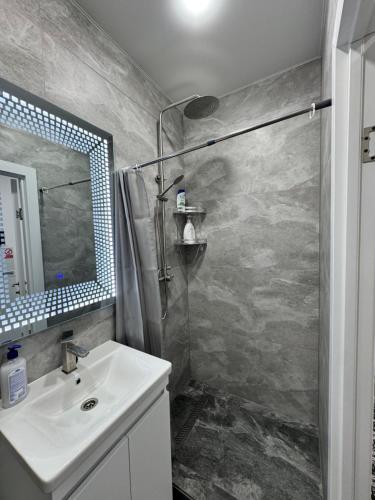 APARTMENT Ultra central in Edinets