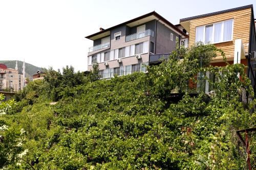 HOME 12, Librazhd