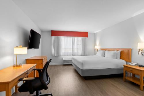 1 king bed