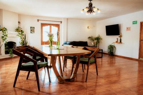 Felles stue/TV-område, Che San Cristobal de las Casas Hostel in San Cristobal de las Casas